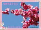 ���ֹ�,�������󷨵��ӹ������編�ִ�����ʦ�𻪵�(24��)
