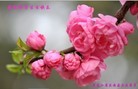 ���ֹ�,�������󷨵��ӹ������編�ִ�����ʦ�𻪵�(24��)
