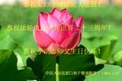 ���ֹ�,�żҿڴ󷨵��ӹ������編�ִ�����ʦ�𻪵�(27��)
