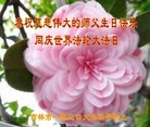 ���ֹ�,�����д󷨵��ӹ������編�ִ�����ʦ�𻪵�(24��)
