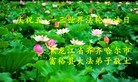 ���ֹ�,��������󷨵��ӹ������編�ִ�����ʦ�𻪵�(22��)
