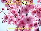 ���ֹ�,�����󷨵��ӹ������編�ִ�����ʦ�𻪵�(20��)
