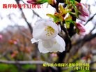���ֹ�,�������󷨵��ӹ������編�ִ�����ʦ�𻪵�(22��)
