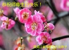 ���ֹ�,�������󷨵��ӹ������編�ִ�����ʦ�𻪵�(24��)
