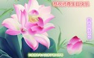 ���ֹ�,�����󷨵��ӹ������編�ִ�����ʦ�𻪵�(20��)

