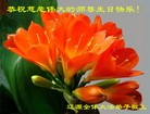 ���ֹ�,����ʡ�󷨵��ӹ������編�ִ�����ʦ�𻪵�(24��)
