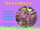 ���ֹ�,��ľ˹�󷨵��ӹ������編�ִ�����ʦ�𻪵�(21��)

