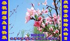 ���ֹ�,�����󷨵��ӹ������編�ִ�����ʦ�𻪵�(20��)
