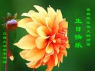 ���ֹ�,����ʡ�󷨵��ӹ������編�ִ�����ʦ�𻪵�(24��)
