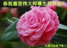 ���ֹ�,����ʡ�󷨵��ӹ������編�ִ�����ʦ�𻪵�(24��)
