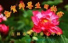 ���ֹ�,�����д󷨵��ӹ������編�ִ�����ʦ�𻪵�(23��)
