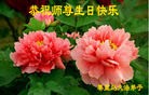 ���ֹ�,�ػʵ��󷨵��ӹ������編�ִ�����ʦ�𻪵�(19��)
