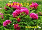 ���ֹ�,�ػʵ��󷨵��ӹ������編�ִ�����ʦ�𻪵�(19��)
