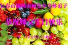 ���ֹ�,�����󷨵��ӹ������編�ִ�����ʦ�𻪵�(20��)

