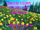 ���ֹ�,�����󷨵��ӹ������編�ִ�����ʦ�𻪵�(20��)
