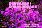 ���ֹ�,�������󷨵��ӹ������編�ִ�����ʦ�𻪵�(24��)
