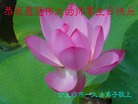���ֹ�,����ʡ�󷨵��ӹ������編�ִ�����ʦ�𻪵�(19��)
