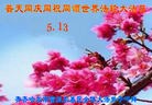 ���ֹ�,��������󷨵��ӹ������編�ִ�����ʦ�𻪵�(19��)
