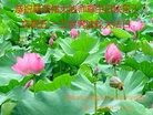 ���ֹ�,�������󷨵��ӹ������編�ִ�����ʦ�𻪵�(24��)
