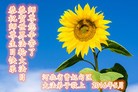 ���ֹ�,�ӱ��󷨵��ӹ������編�ִ�����ʦ�𻪵�(20��)
