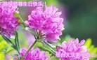 ���ֹ�,�ӱ��󷨵��ӹ������編�ִ�����ʦ�𻪵�(20��)
