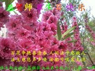���ֹ�,��ľ˹�󷨵��ӹ������編�ִ�����ʦ�𻪵�(18��)
