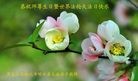 ���ֹ�,�������󷨵��ӹ������編�ִ�����ʦ�𻪵�(21��)
