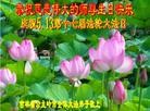 ���ֹ�,����ʡ�󷨵��ӹ������編�ִ�����ʦ�𻪵�(20��)
