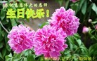 ���ֹ�,����ʡ�󷨵��ӹ������編�ִ�����ʦ�𻪵�(20��)
