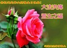 ���ֹ�,����ʡ�󷨵��ӹ������編�ִ�����ʦ�𻪵�(19��)
