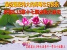 ���ֹ�,����ʡ�󷨵��ӹ������編�ִ�����ʦ�𻪵�(20��)
