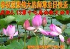 ���ֹ�,����ʡ�󷨵��ӹ������編�ִ�����ʦ�𻪵�(20��)
