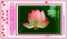 ���ֹ�,����ʡ�󷨵��ӹ������編�ִ�����ʦ�𻪵�(20��)
