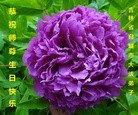 ���ֹ�,����ʡ�󷨵��ӹ������編�ִ�����ʦ�𻪵�(19��)
