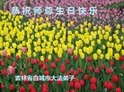 ���ֹ�,����ʡ�󷨵��ӹ������編�ִ�����ʦ�𻪵�(19��)
