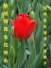���ֹ�,����ʡ�󷨵��ӹ������編�ִ�����ʦ�𻪵�(19��)
