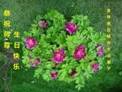 ���ֹ�,����ʡ�󷨵��ӹ������編�ִ�����ʦ�𻪵�(19��)
