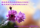 ���ֹ�,����ʡ�󷨵��ӹ������編�ִ�����ʦ�𻪵�(19��)
