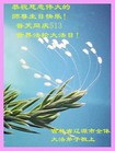 ���ֹ�,����ʡ�󷨵��ӹ������編�ִ�����ʦ�𻪵�(19��)
