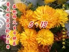 ���ֹ�,�������󷨵��ӹ������編�ִ�����ʦ�𻪵�(21��)
