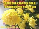 ���ֹ�,�������󷨵��ӹ������編�ִ�����ʦ�𻪵�(21��)
