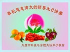 ���ֹ�,����󷨵��ӹ������編�ִ�����ʦ�𻪵�(20��)
