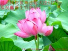 ���ֹ�,�������󷨵��ӹ������編�ִ�����ʦ�𻪵�(22��)
