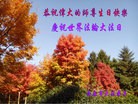 ���ֹ�,�����󷨵��ӹ������編�ִ�����ʦ�𻪵�(20��)

