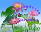 ���ֹ�,�����󷨵��ӹ������編�ִ�����ʦ�𻪵�(20��)
