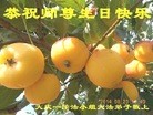 ���ֹ�,����󷨵��ӹ������編�ִ�����ʦ�𻪵�(20��)
