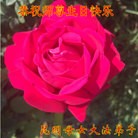 ���ֹ�,���ϴ󷨵��ӹ������編�ִ�����ʦ�𻪵�(18��)
