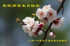 ���ֹ�,��ľ˹�󷨵��ӹ������編�ִ�����ʦ�𻪵�(20��)
