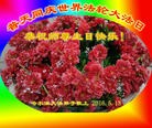 ���ֹ�,�������󷨵��ӹ������編�ִ�����ʦ�𻪵�(20��)
