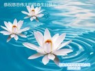 ���ֹ�,ʯ��ׯ�󷨵��ӹ������編�ִ�����ʦ�𻪵�(23��)
